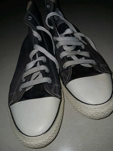 The Roadster Life Co. Canvas High-Top Sneakers