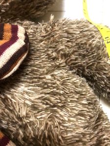 Play &amp; Pets Branded Bear