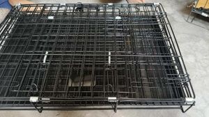 dog and cat cage