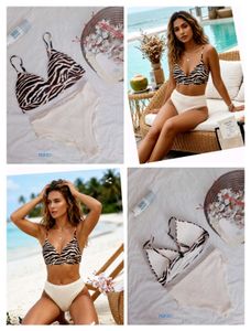 Zebra Print Bikini Set
