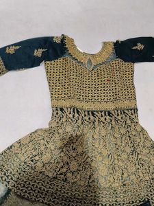 Designer Lehenga Choli Set