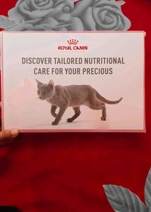 Cats Food
