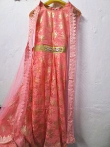 Pink Gold  Gown