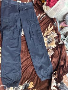 Stylish Navy Cargo Pants