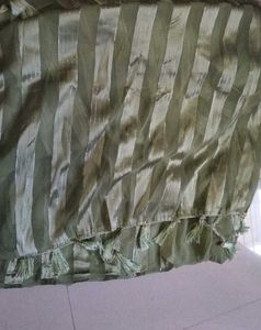 Elegant Green Sareee