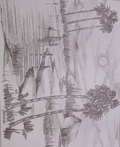 Still Life Shade Drawing