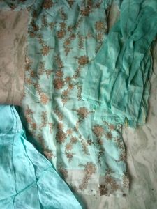 Designer Net Suit