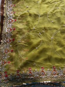 Rajasthani Odhni