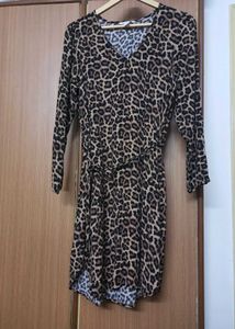 Animal Print Mini Dress