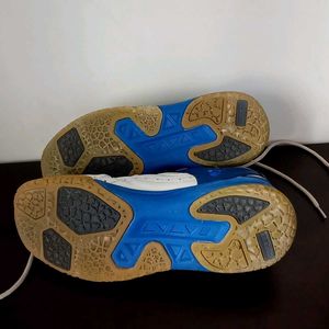 Vintage Proasee Badminton Shoes