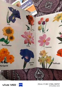 Set of 7 Early Learning Picture Books