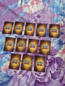 WWE Trading Cards Collection