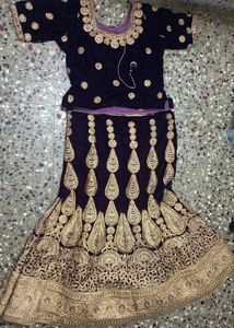 Embroidered Velvet Lehenga Skirt