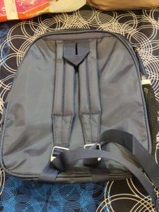 Frozen Backpack