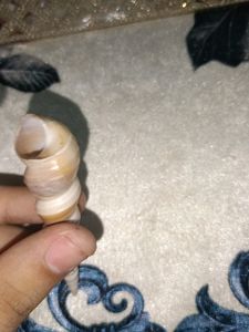 Rare Auger Screw Spiral Shell Unique