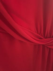 Vince Canuto Elegant Red Long Sleeve Dress