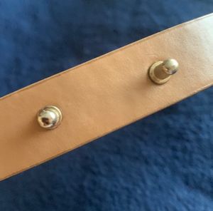 Chemistry Waist belt XL