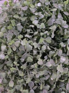 Artificial Green Plant