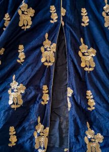 Blue Velvet gown with Gold Embroidery