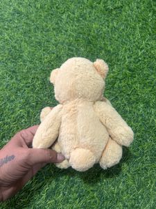 Cute Teddy Bear Plush