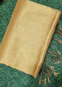 Tissue Saree Celebrate For Holi Special