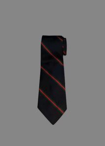 Polo by Ralph Lauren Silk Tie