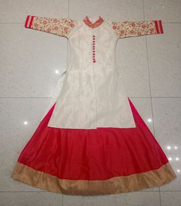 Elegant Indian Anarkali Dress