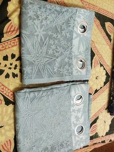 2 net curtains
