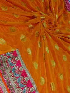 Stunning Orange Saree with Gold Motifs