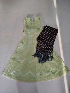 Beautiful Pastel Green Lehenga Choli Set