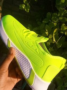 GREEN And WHITE SHOE FOR MEN