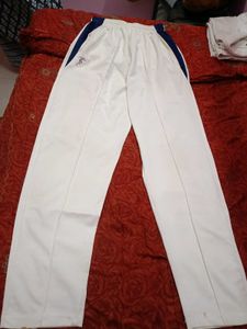 cricket tshirt and lower