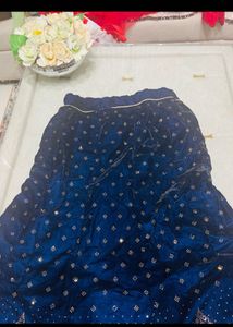 Blue Velvet Lehenga with Embellishments