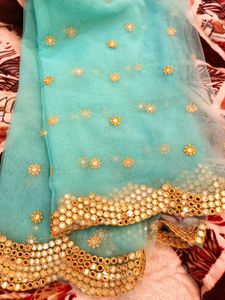 Net Dupatta with Embellishments