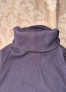 ZARA Sleeveless Turtleneck Top