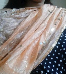 Party wear Dupatta Light Orange