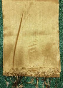 Tissue Saree Celebrate For Holi Special
