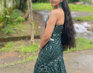Stunning Sequined Ethnic Gown