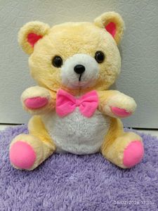Adorable Plush Teddy Bear Toy