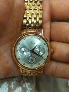 Elegant Titan Gold Watch