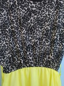 Mango Dress