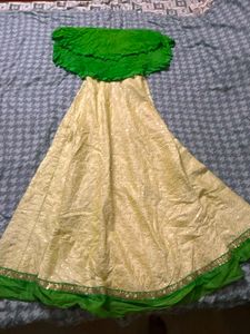 Elegant Lehenga Choli Set