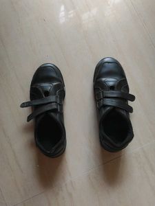 Titas Shoes UK 8 Size