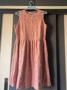 Van heusen Pink Blush Dress