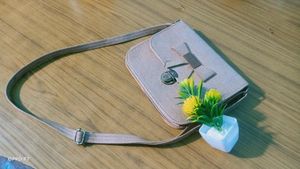 Beautiful Sling Bag