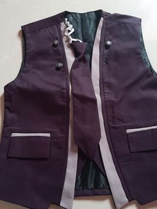 Party Wear Dress