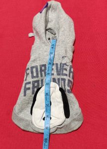 Small Cat Jacket