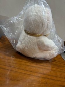 Cute Cream Teddy Bear