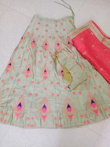 Beautifully Embroidered Lehenga Choli