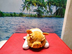 Cute Pig Plush Toy